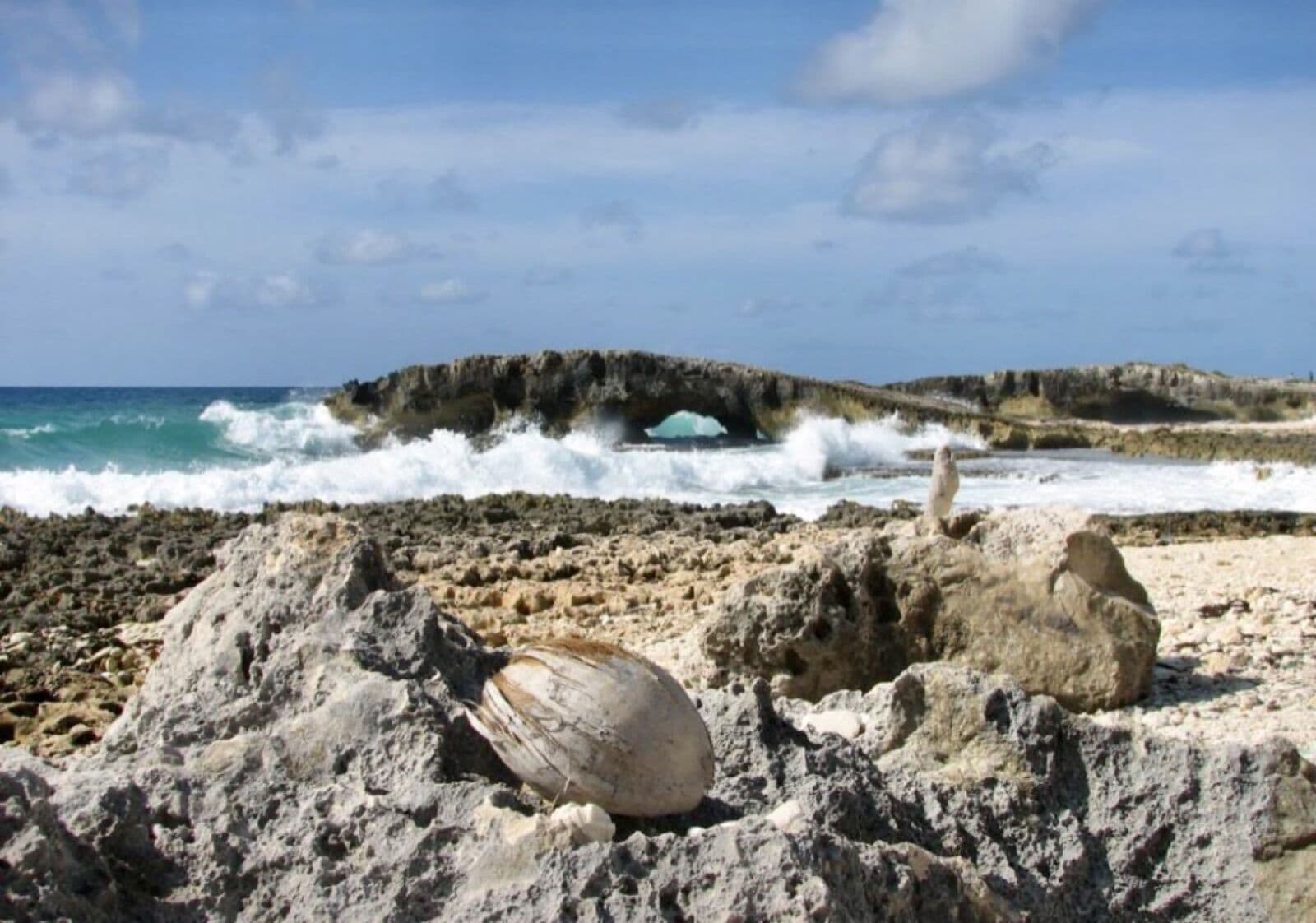 Guests exploring Cozumel